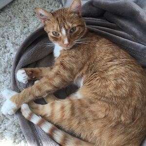 Meet your Posher, Lilian